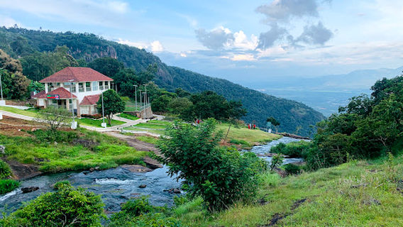 Thekkady Jungle Jeep Safari by Periyar Cabs