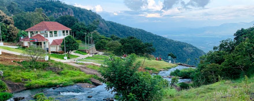 Thekkady Jungle Safari by Periyar Cabs