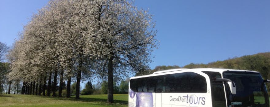 Carpe diem tours