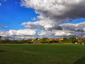 Stadionul Tineretului