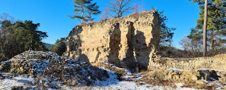 Upper Castle ruins in Różnów