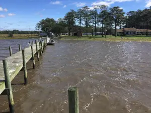 Coastal Carolina Campground