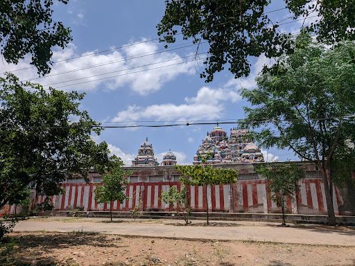 Sri Thanthondreeswarar Temple - Belur