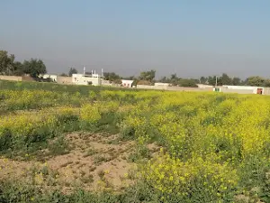 Abad Khel Mosque