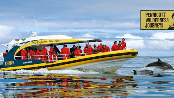 Pennicott Wilderness Journeys