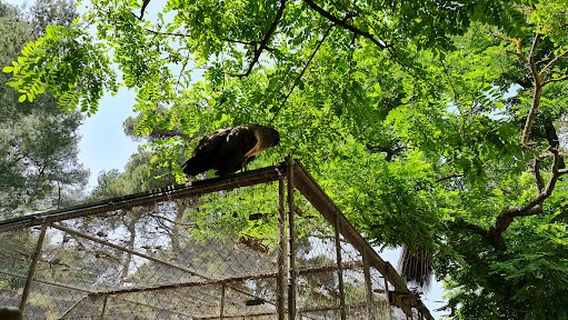 PONEY CLUB DE L’OUSTALET