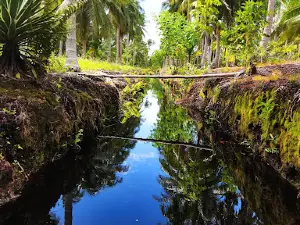 Topang Island