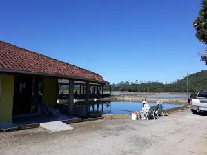 "Yellow House" - Fish Pay