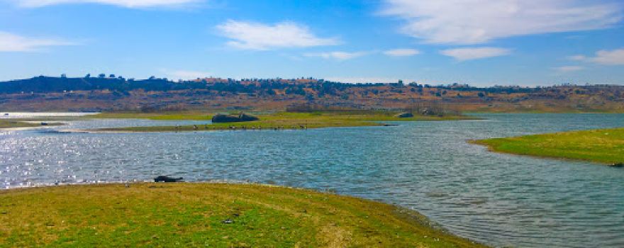 Codorniz Recreation Area Campground