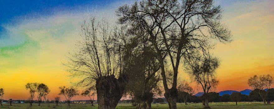 Parque La Dehesa