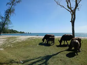 Pantai Barus