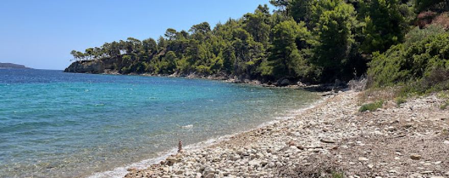 Katerinas vala beach