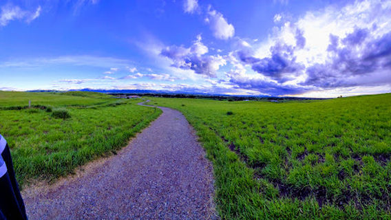 Bozeman