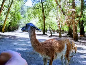 Reserva Ecológica del Parque Pereyra