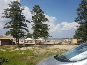Nezabudka