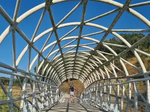 Zona Ribeirinha de Ponte de Sor