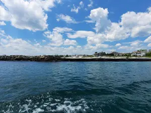 Rugosa Lobster Tours