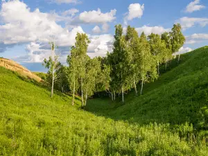 Берег Драверта