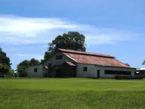 Our Lady of the Assumption Cathedral, Buka