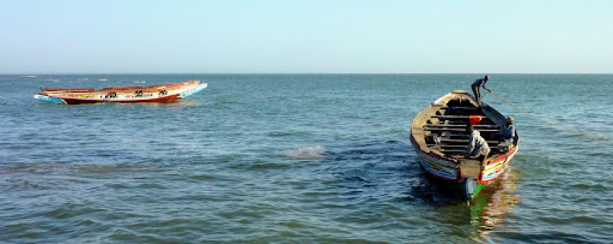 Gambia River