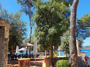 Plaža Soline