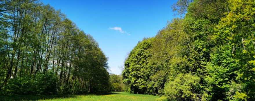 Austel Park