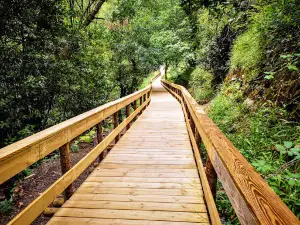 Ecovia do Vez - Passadiço do Sistelo