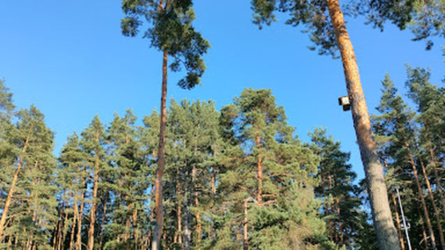 Vingis park amphitheatre