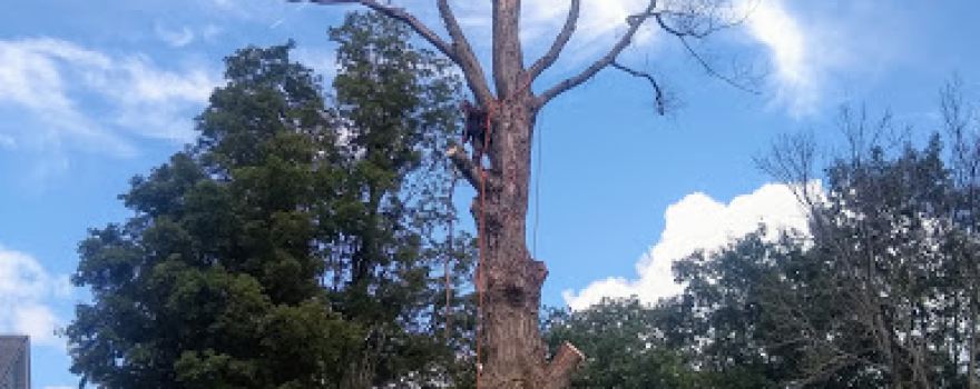 James J Crowley Community Park