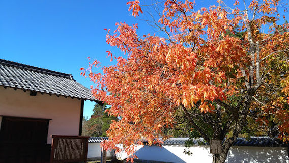 Iwamura Historical Materials Museum