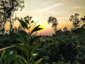 Shajibazar Playground