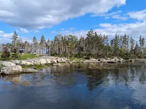 Norse Cove Seaside Camping
