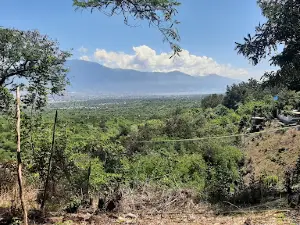 Kawasan Wisata Taman Hutan Raya Kapopo Ngatabaru