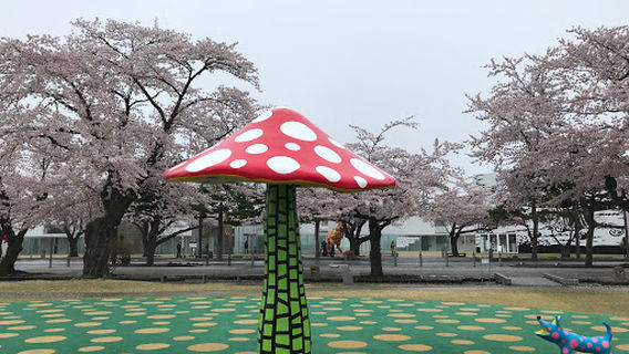 Towada City Government Office Street
