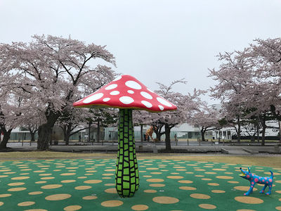 Towada City Government Office Street