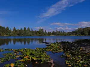 Fort Steilacoom Dog Park