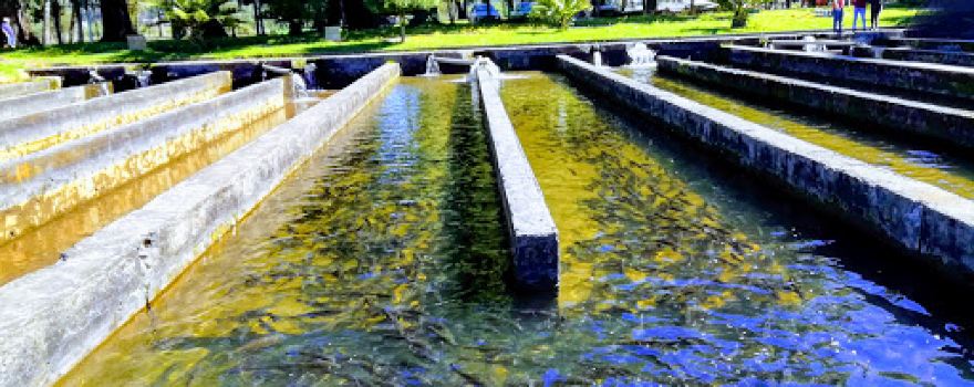 Isabel Riquelme Park