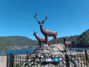 Lake Lacar Waterfront