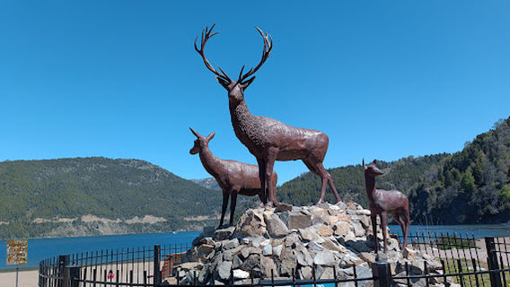 Lake Lacar Waterfront