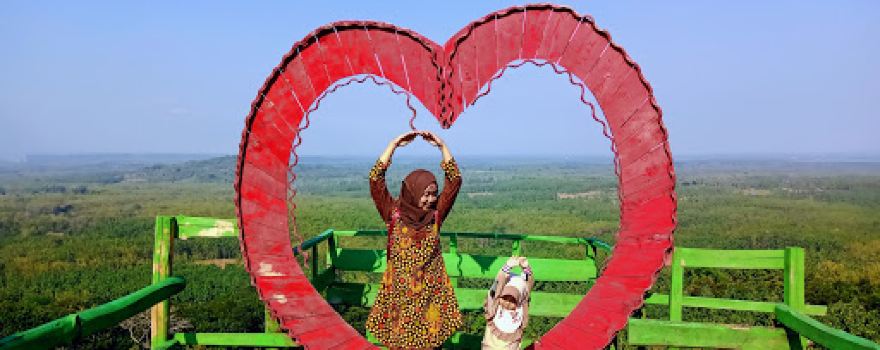 Tree House of Sustainable Tourism