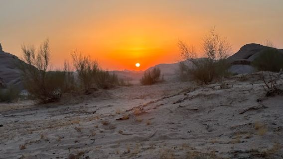 Bedouin future camp