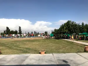 Camping Sindicato Empleados de Comercio Caucete