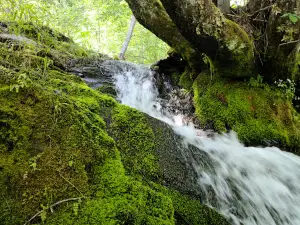 Cascade Creek Campground