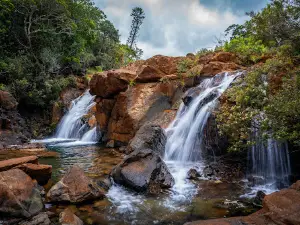 L'Oasis
