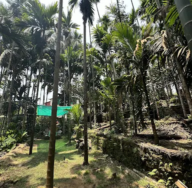 GOA Rishivan farm