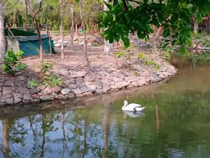 Rajiv Park