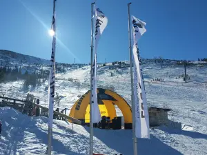 Гладенькая