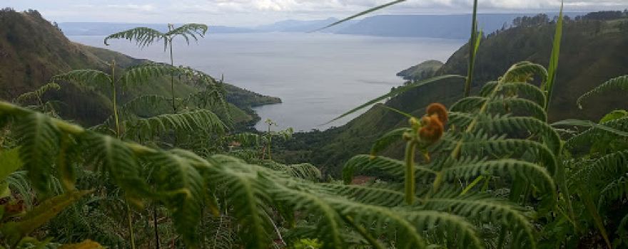 Bage, nagori ujung saribu