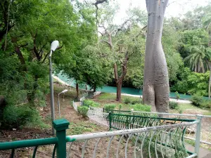 Yankari Motor Park