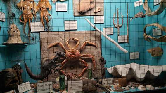 White Raven Trading Co. & Museum